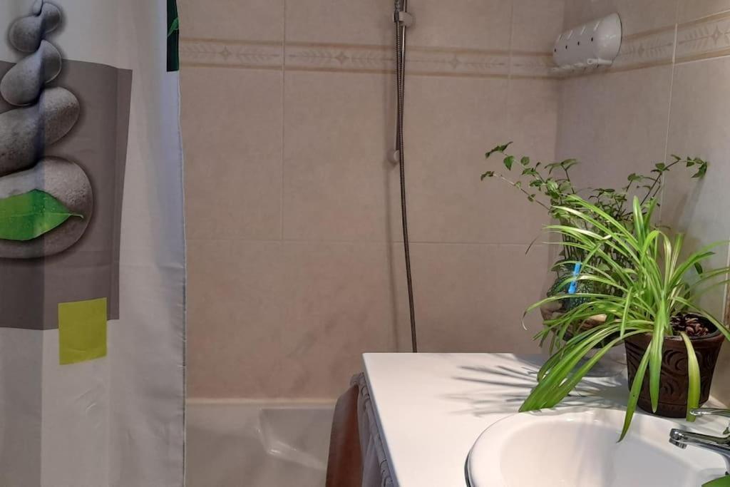Le Chausse A Bres Chambre D'Hotes 2 Payzac  Luaran gambar